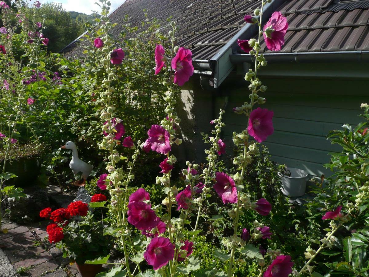 Roulotte La Dominique Bed & Breakfast Romery  Exterior foto